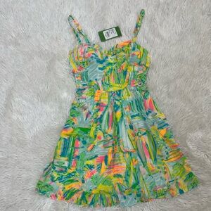 Lily putlizer Colorful  Dress